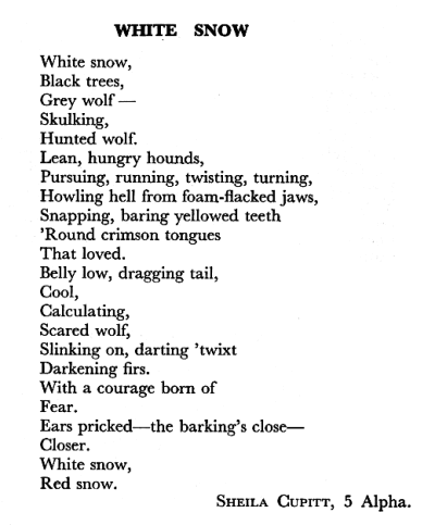 White Snow by Sheila Cupitt